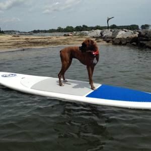 Meet your Posher, Jane